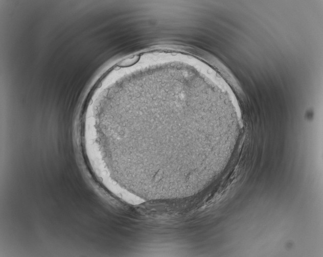 X0000116490955201001201400