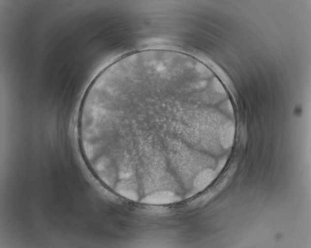 X0000116490957201001201400