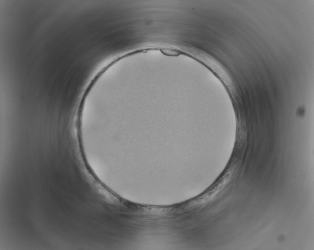 X0000116490958201001201400