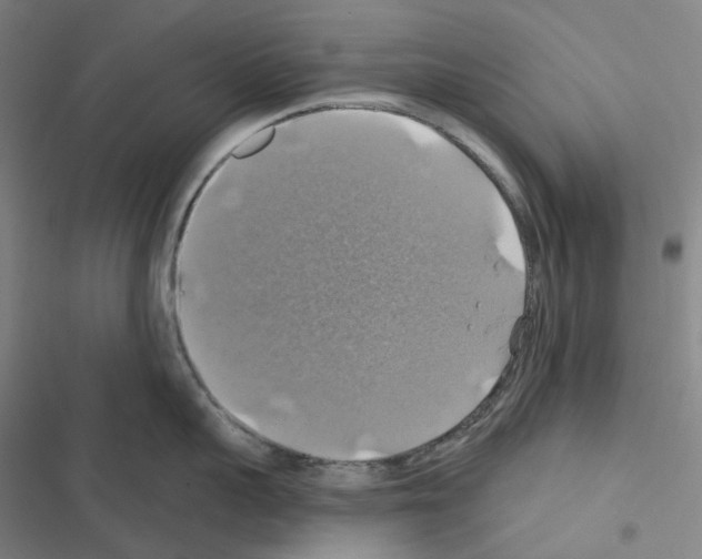 X0000116490959201001201400