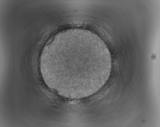 X0000116490961201001201400