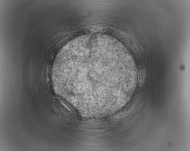 X0000116490962201001201400