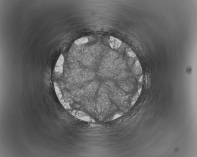 X0000116490963201001201400