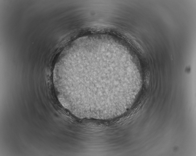 X0000116490964201001201400