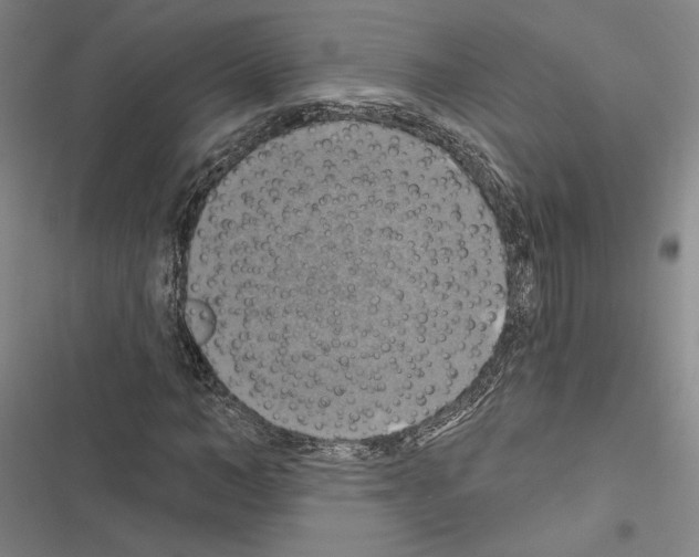 X0000116490966201001201400