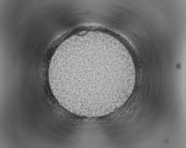 X0000116490967201001201400