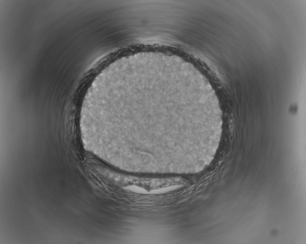 X0000116490968201001201400