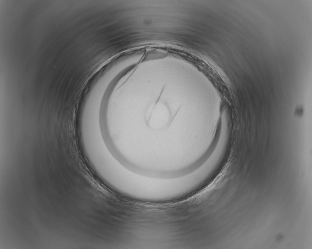 X0000116490969201001201400