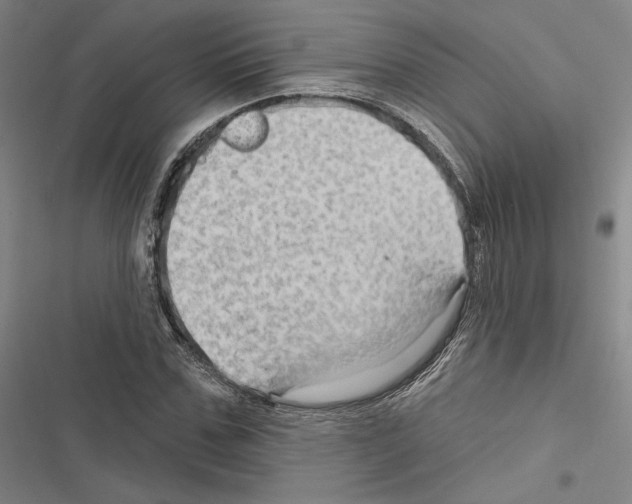 X0000116490971201001201400