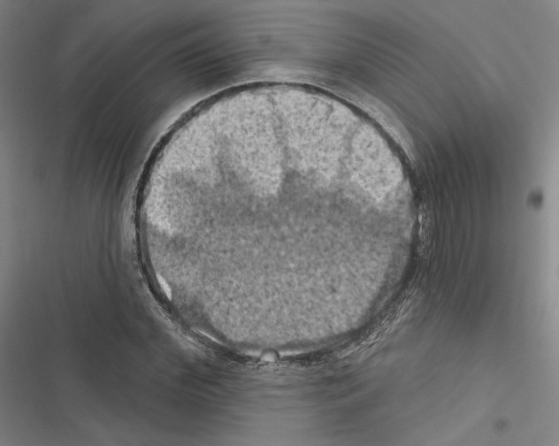 X0000116490972201001201400