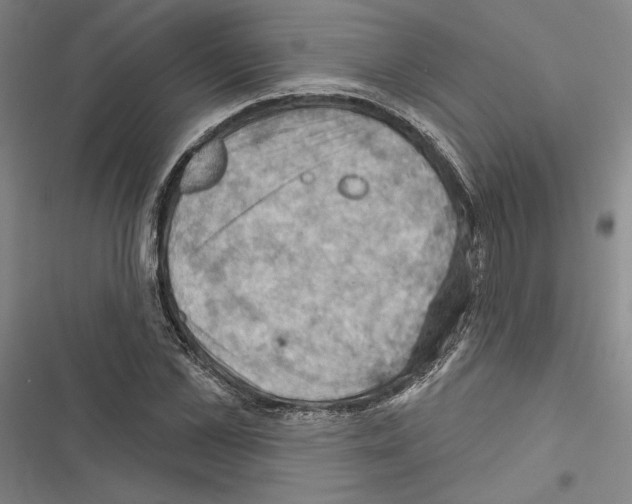 X0000116490973201001201400