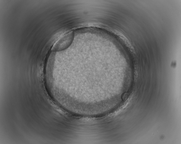 X0000116490977201001201400