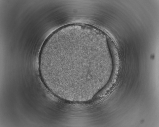 X0000116490980201001201359