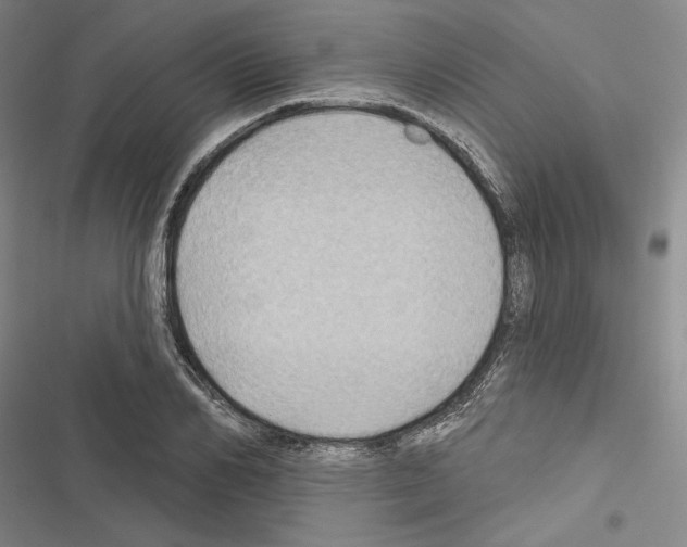 X0000116490982201001201359