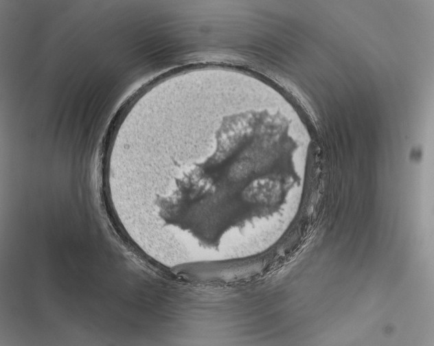 X0000116490983201001201359