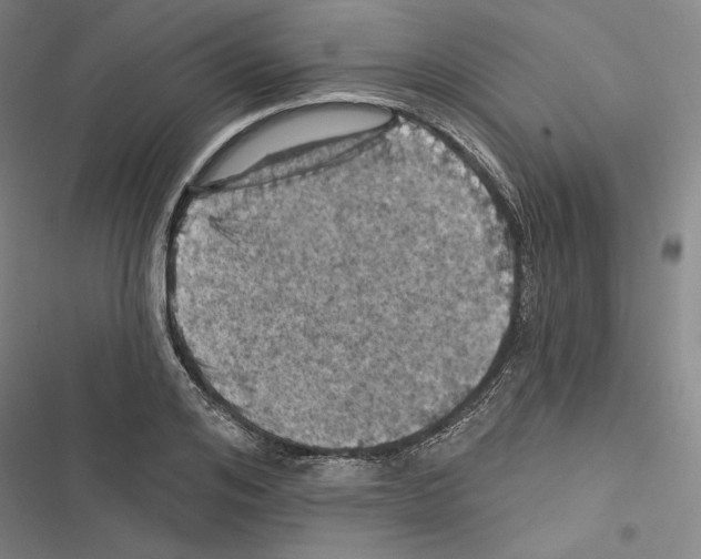 X0000116490984201001201359