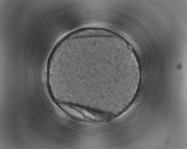 X0000116490988201001201359