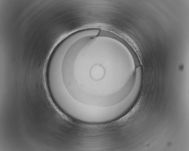 X0000116490989201001201359