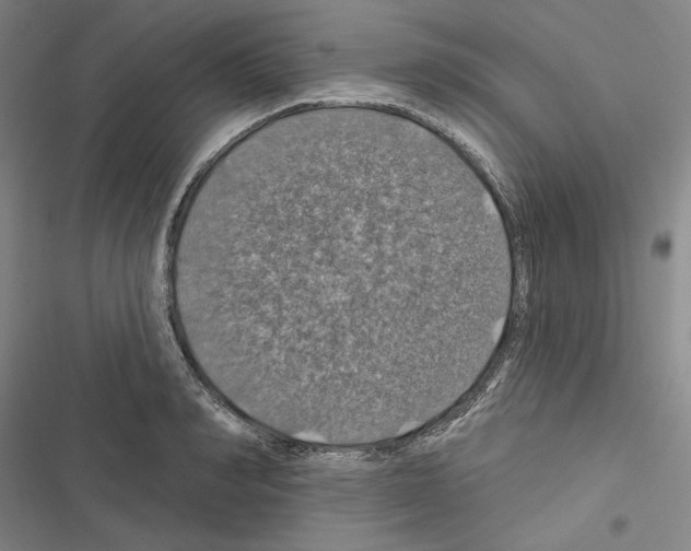 X0000116490990201001201359