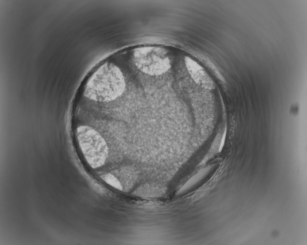 X0000116490991201001201359