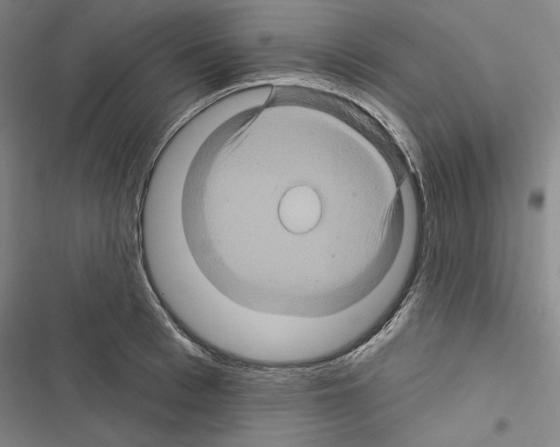 X0000116490993201001201359