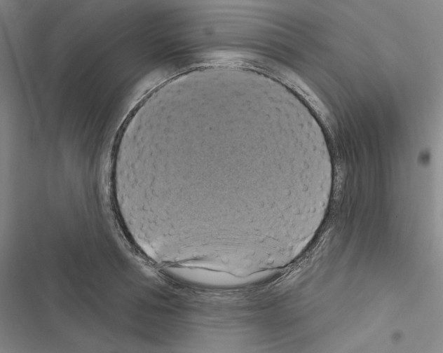 X0000116490994201001201359