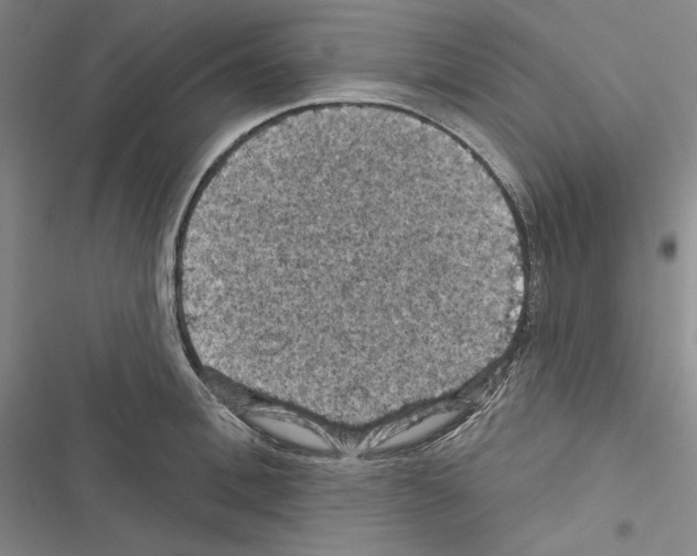 X0000116490996201001201359