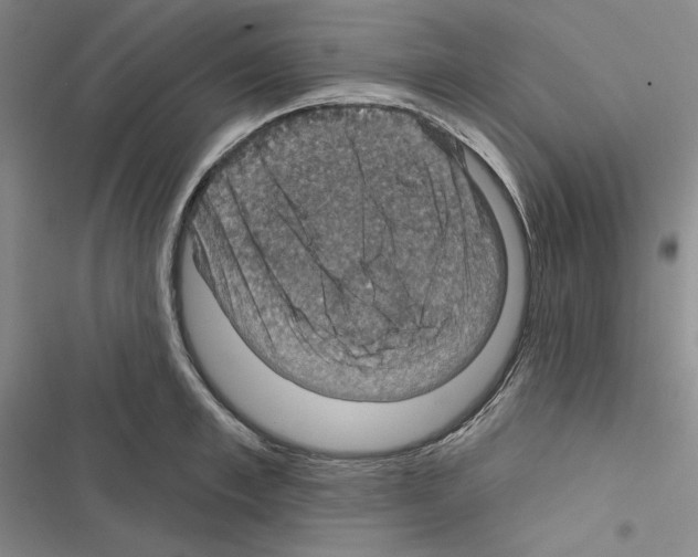 X0000116490997201001201359