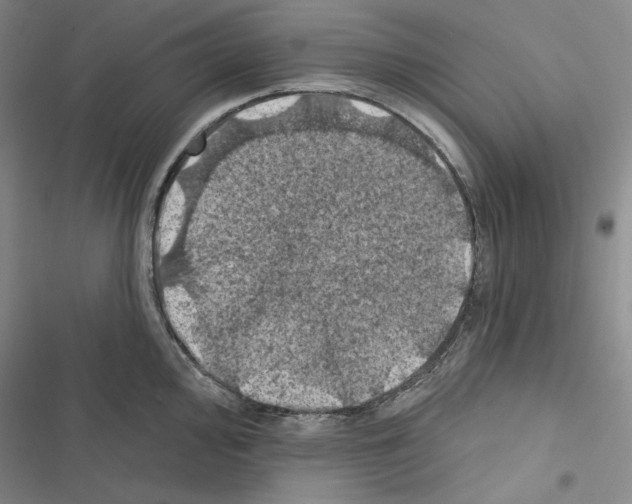 X0000116491000201001201359