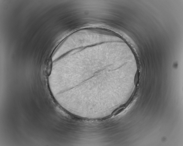 X0000116491001201001201359