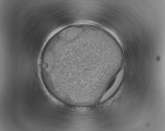 X0000116491003201001201359