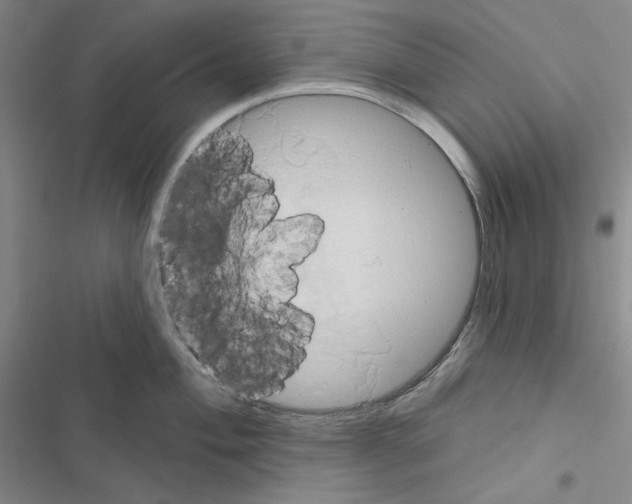 X0000116491004201001201359