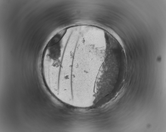 X0000116491005201001201359