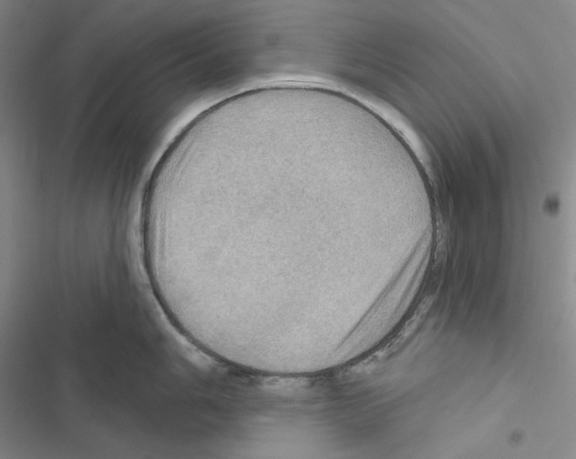 X0000116491006201001201359