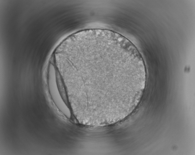 X0000116491008201001201359