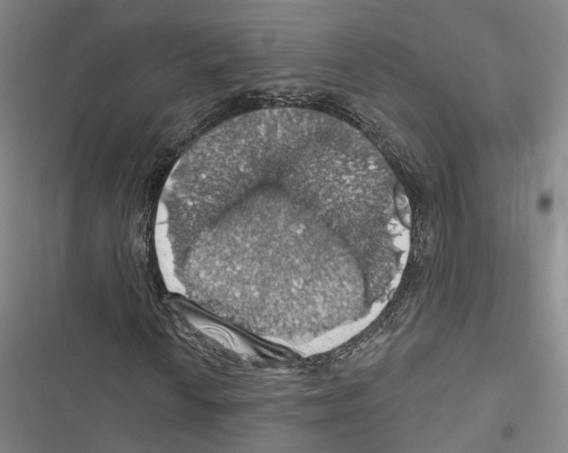 X0000116491010201001201358