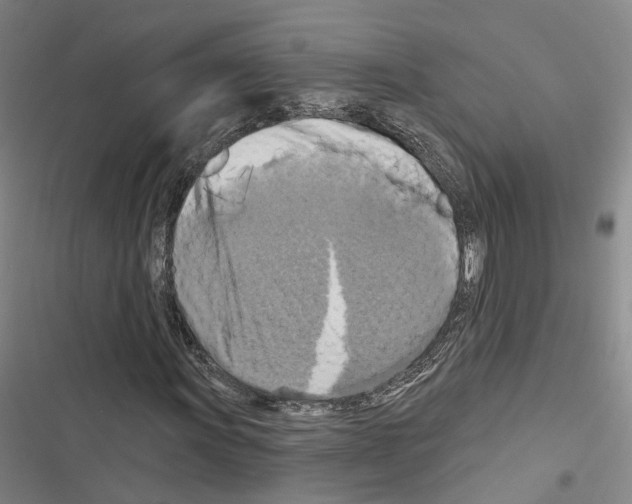 X0000116491011201001201358