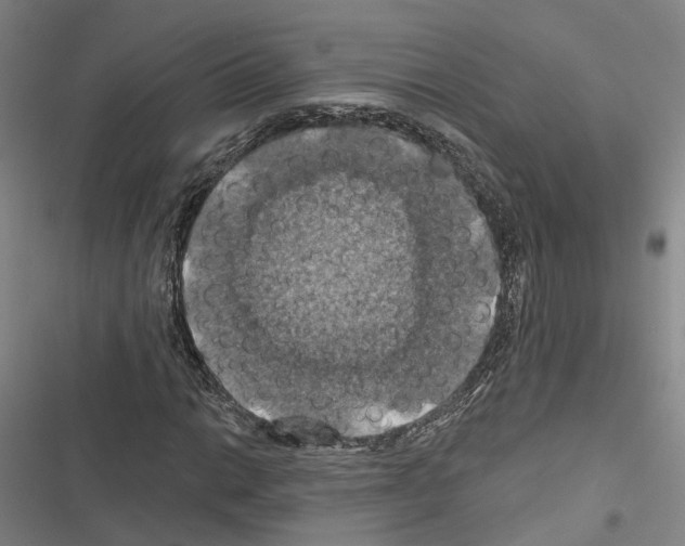 X0000116491014201001201359