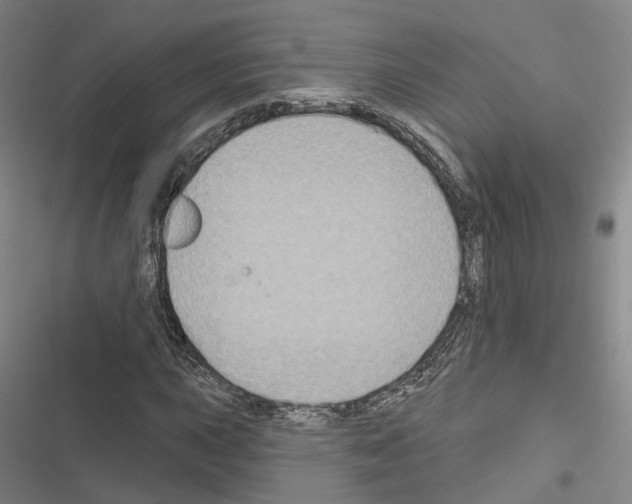 X0000116491015201001201359