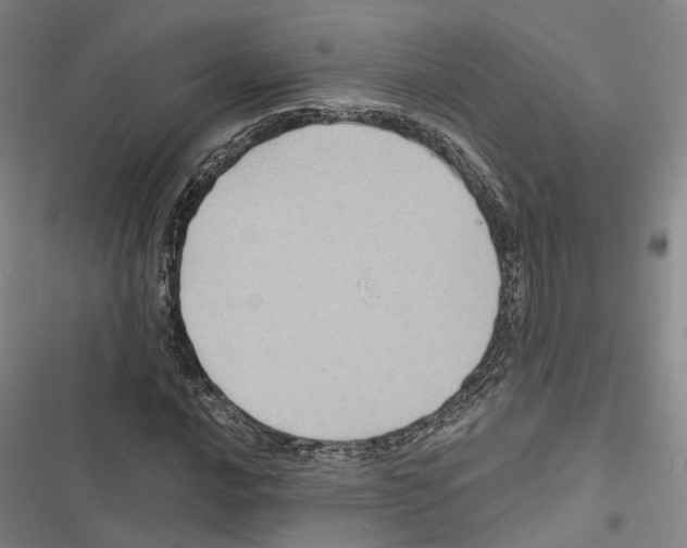 X0000116491016201001201359