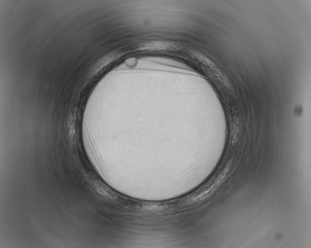 X0000116491017201001201359