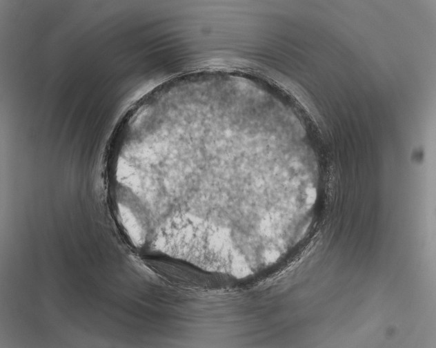 X0000116491018201001201359