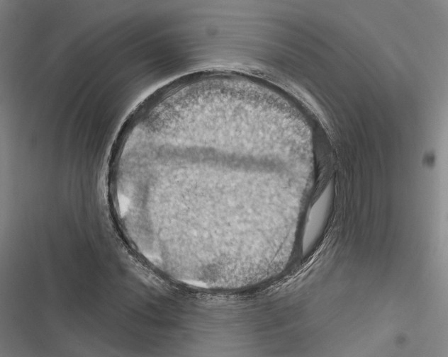 X0000116491020201001201359