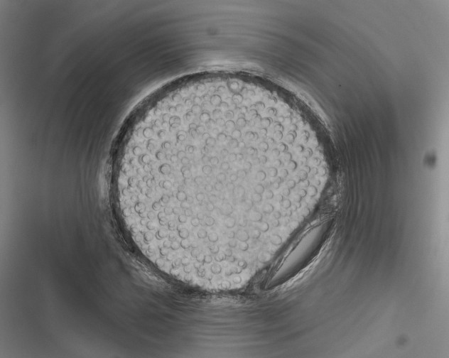 X0000116491021201001201359