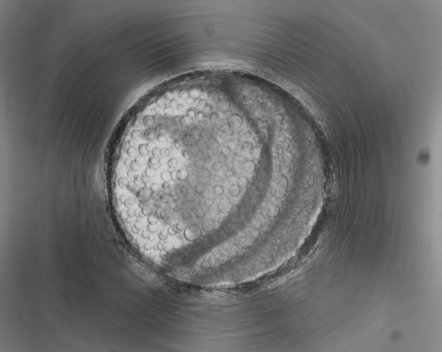 X0000116491022201001201359