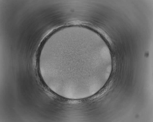 X0000116491023201001201359