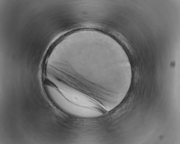 X0000116491024201001201359