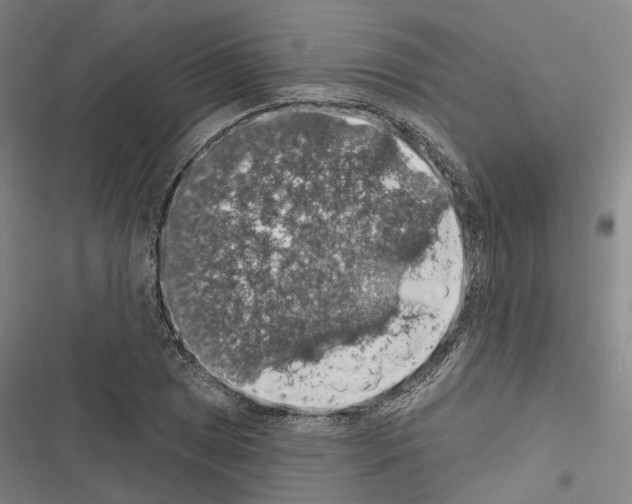 X0000116491025201001201359