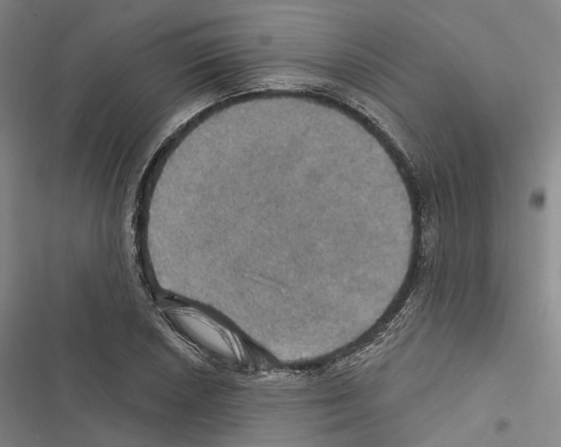 X0000116491026201001201359