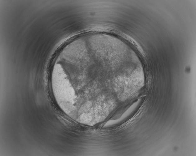 X0000116491027201001201359